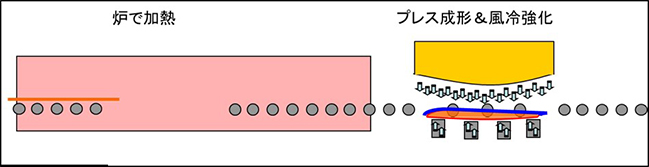NHP
